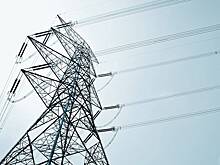 Житель Подмосковья забрался на ЛЭП и просидел там четыре часа