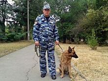 Рыжий, Оззон и Мотя. Удивительные истории дружбы собак и людей на Дону