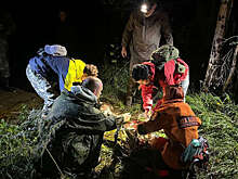 В Свердловской области спустя двое суток нашли пропавшую в лесу женщину