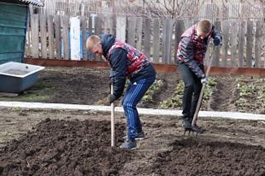 В Бийске студенты-волонтеры помогают одиноким пожилым горожанам