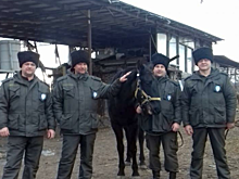 ЕССЕНТУКСКАЯ КАЗАЧЬЯ ДРУЖИНА ПОМОГАЕТ В ПОИСКЕ ЛЮДЕЙ И ДАЖЕ ЛОШАДЕЙ