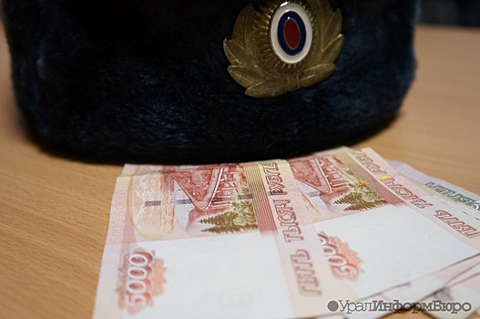 Россиянам заплатят миллионы за помощь полицейским