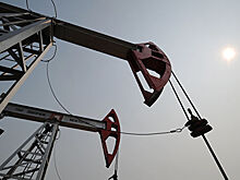 Эксперт рассказал, почему НДД лучше текущих льгот для нефтяников