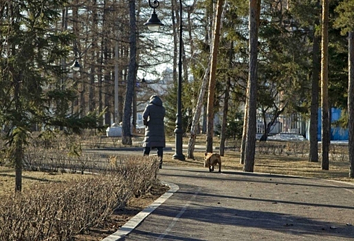 Муниципальный приют Омска для животных возглавила Юлия Нефедова