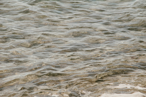 На реке Малый Кинель уровень воды превысил опасную отметку
