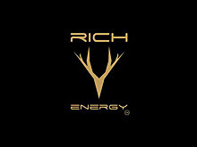 Rich Energy станет титульным спонсором Haas F1