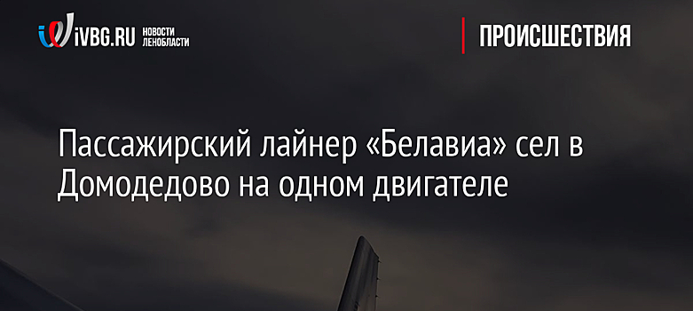 Пассажирский лайнер «Белавиа» сел в Домодедово на одном двигателе