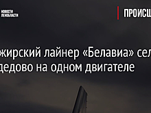 Пассажирский лайнер «Белавиа» сел в Домодедово на одном двигателе