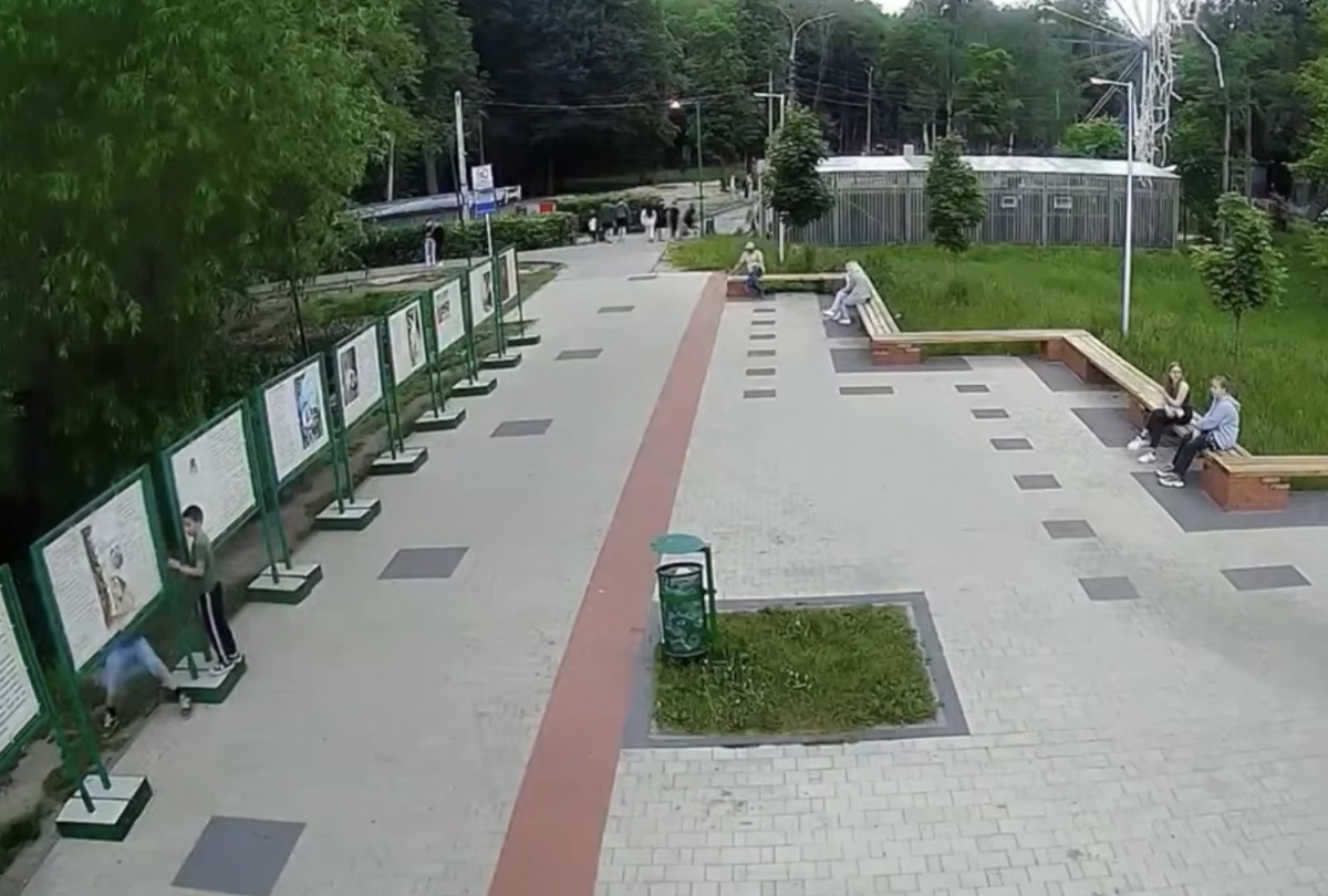 Полиция найдет вандалов, разгромивших выставку Пушкина в Арзамасе