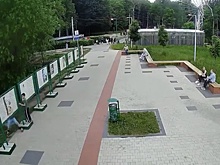 Полиция найдет вандалов, разгромивших выставку Пушкина в Арзамасе