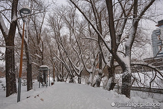 Февраль начнется в Свердловской области с резкого похолодания