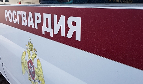 В Воронеже ночью росгвардейцы задержали грабителя, вскрывшего магазин