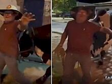 Верный бык доставил пьяного хозяина домой и удивил Сеть