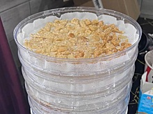 Полиция уличила прибывшего в Татарстан с частным визитом иностранца в изготовлении 6 кг мефедрона