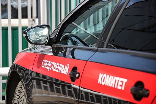 Растерзанный собаками бурятский младенец родился живым