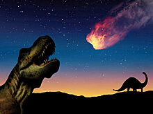 Раскрыта загадка возникновения жизни после гибели динозавров