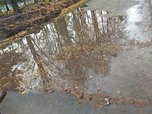 Ярославцы разыскивают вандалов, которые разгромил парк 30-летия Победы