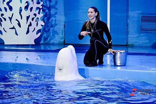 Дело о банкротстве мурманского океанариума прекращено