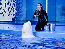 Дело о банкротстве мурманского океанариума прекращено