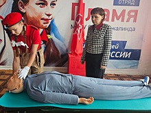 В 222 школах Амурской области оснастили кабинеты труда и ОБЖ новым оборудованием