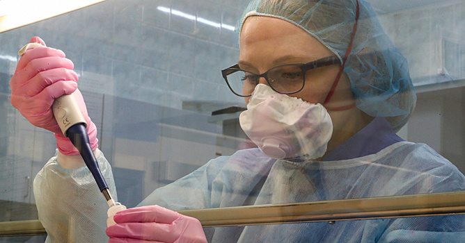 РФ и страны Африки приступили к совместному изучению опасных инфекций