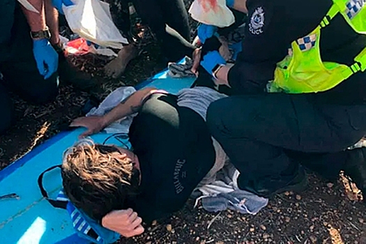 Серфингист ударил по рылу акулу и спас себе жизнь
