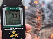 Лесные пожары вокруг Чернобыля подняли радиационный фон в 16 раз