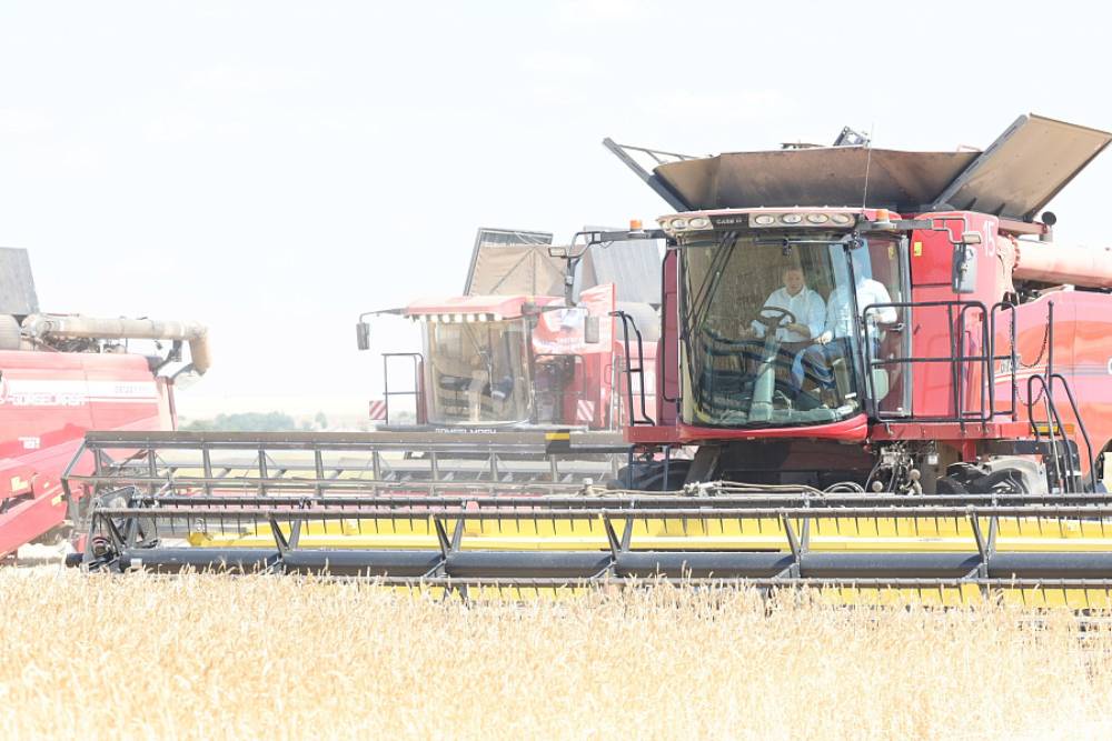 В Волгоградской области собрали первый миллион тонн зерна урожая 2024 года
