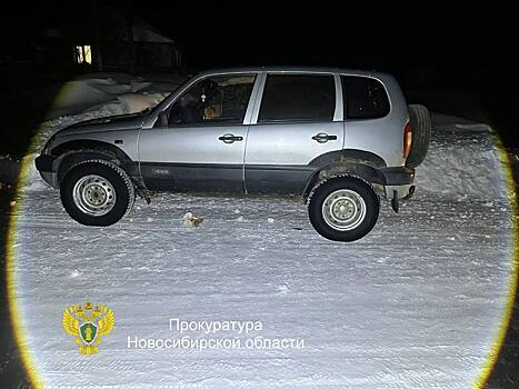 Возвращалась домой от бабушки: новосибирец на «Ниве» насмерть сбил 12-летнюю девочку