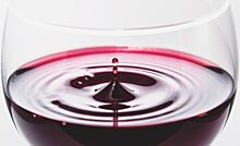 Какие красные вина стоит пить до наступления холодов