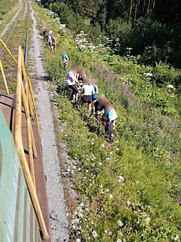 В Кирове подростки гуляли по железнодорожным путям