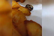 Посетитель "Вкусно – и точка" нашел в картошке таракана