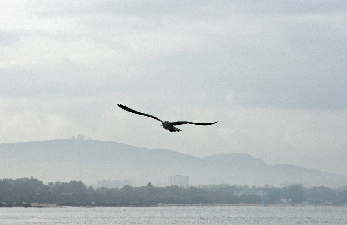 �������&nbsp; ������������� ��������� �������������� ����