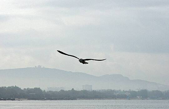 Сильное землетрясение произошло в Краснодарском крае