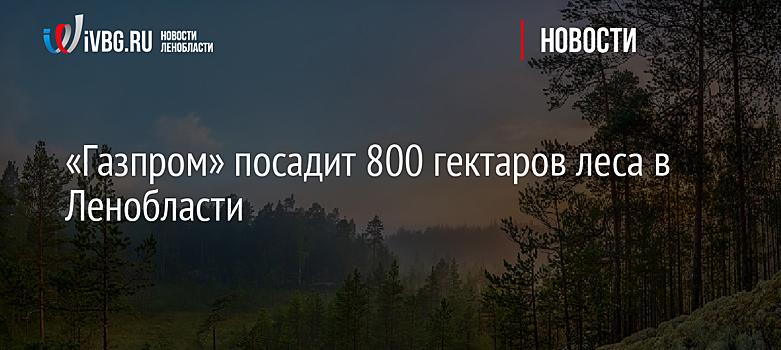 «Газпром» посадит 800 гектаров леса в Ленобласти