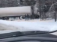 Водитель фуры устроил лесоповал на трассе М3 «Украина»