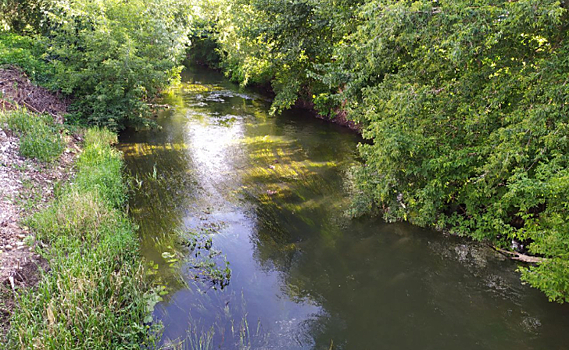 В Курске в этом году закончится расчистка русла реки Кривец