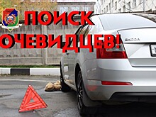 В Петрозаводске водитель совершил наезд на ребенка и скрылся с места ДТП