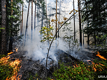 Власти ХМАО ввели спецрежим в регионе