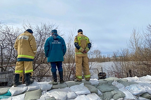 Под Новосибирском несколько дачных участков ушли под воду