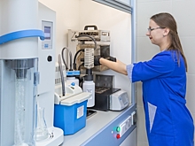 Продуктовая корзина пополнилась грибами