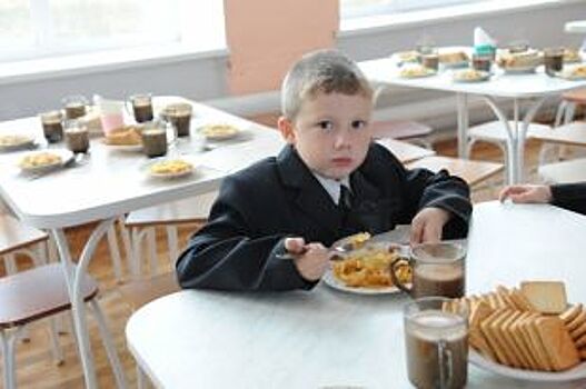 Родители учеников школы в Борисовичах смогут следить за питанием ребенка