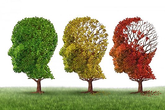 Исследование: образование спасает от Альцгеймера