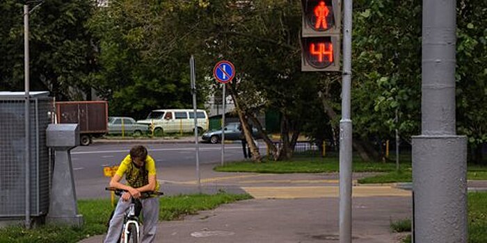 Красный для пешеходов предложили ограничить