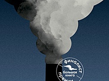 Роман Мршавко Штапича «Устойчивое развитие» вошел в финал "Большой книги"