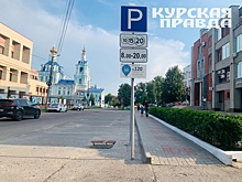 Более 6 тысяч курян воспользовались зонами платной парковки