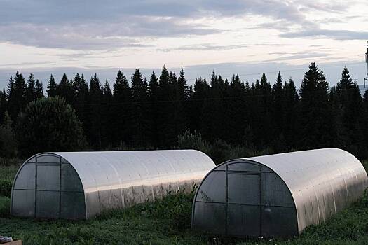 Россиянам перечислили не облагаемые налогом хозпостройки