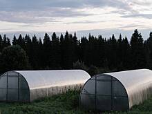 Россиянам перечислили не облагаемые налогом хозпостройки