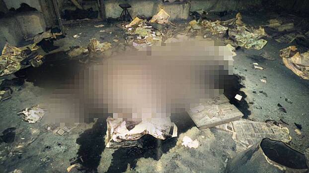 Двое москвичей изнасиловали и убили девушку, бросив ее тело на чердаке