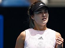 Чесноков — о Калинской: по уровню игры она вполне соответствует первой десятке WTA